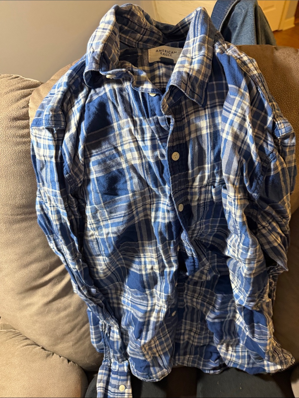 American Eagle Outfitters Blue and White Plaid Button-Down Flannel Shirt